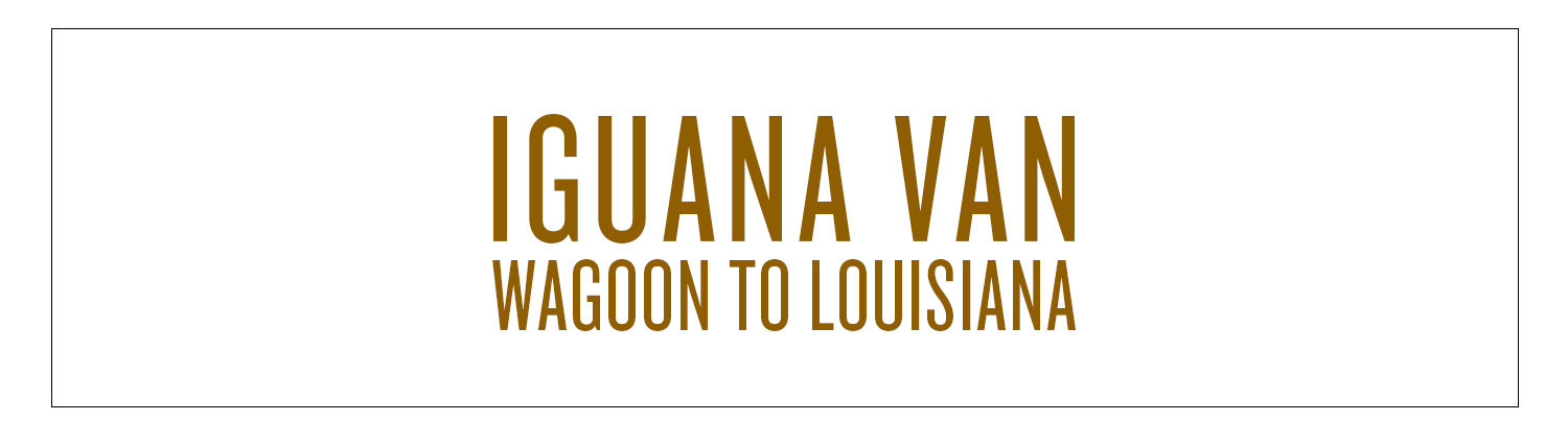 IGUANA VAN | Wagoon to Louisiana